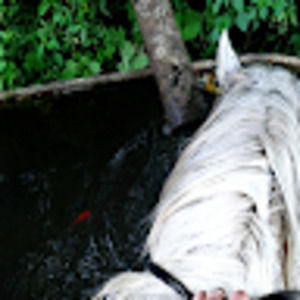 Meet your Posher, Mar